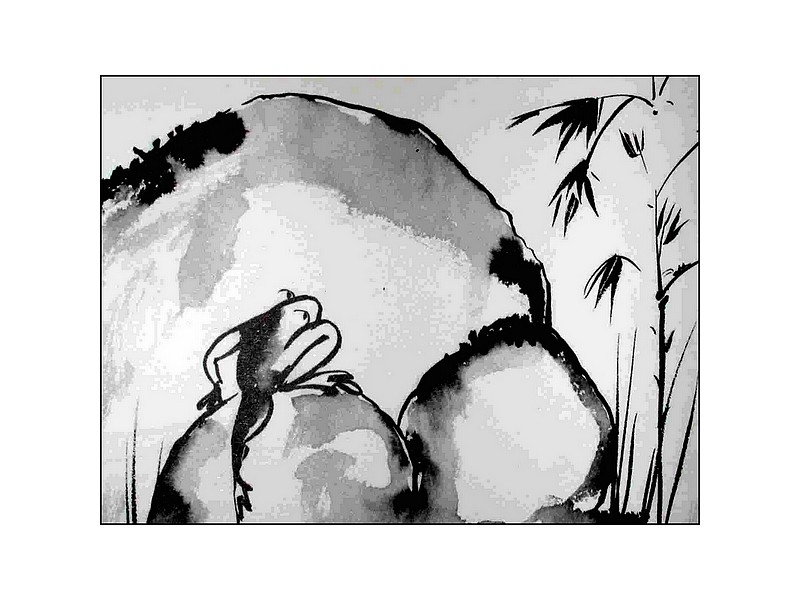 Le crapaud beau à sa façon