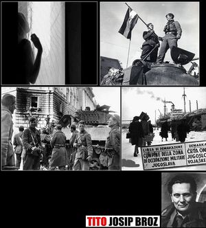 Photocollage - Assise derrière sa fenêtre, un album photos entre les mains...