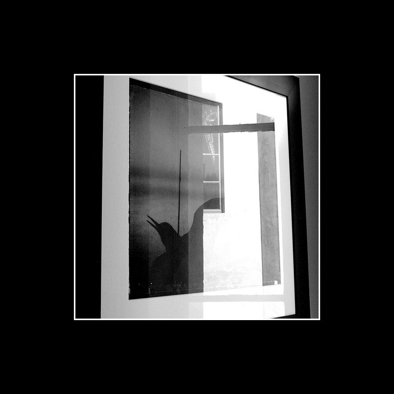 Quand tes mains divisent la lumière