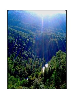 De toutes parts, les versants boisés des montagnes nous entourent. De toutes parts, les versants boisés des montagnes nous entourent.