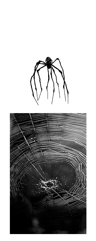 J’attends j’attends j’attends