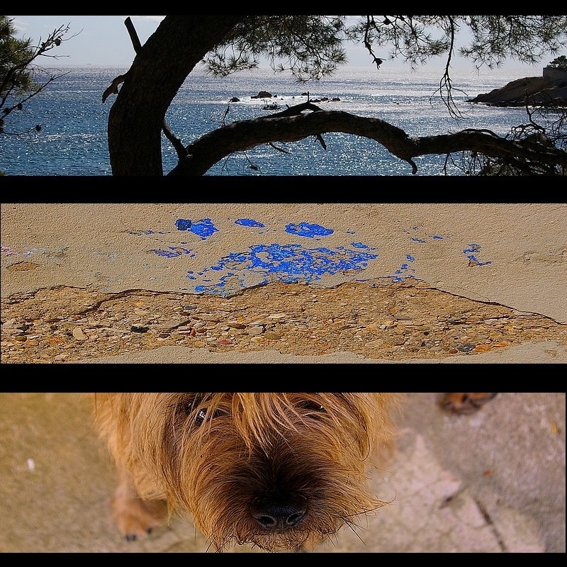 ARCIPELAGO (UN COLLASSO)