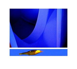 loriot | s’émeraude | en tête | plus grave | vers les débris | du bleu Loriot --- vers les débris du bleu