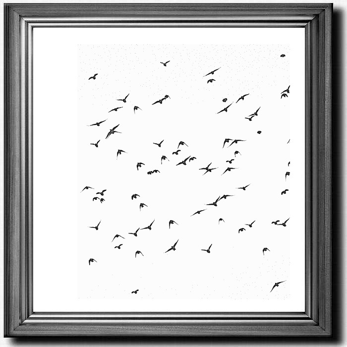 Nous étions seuls, de trop, dans nos miroirs