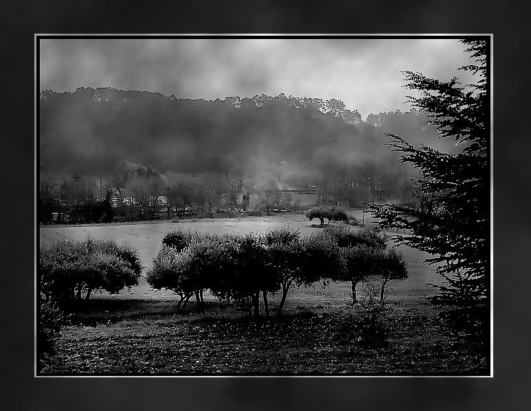 La colline orée sous l’or froid se baigne dans le gris liquide