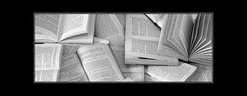 Organiser l'indicible Organiser l'indicible 3