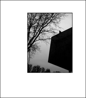 Celui qui écoute des voix enfouies dans les feuillages vacillants du silence. Celui qui écoute des voix enfouies dans les feuillages vacillants du silence.