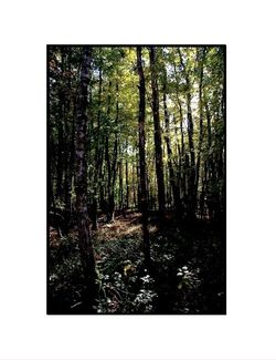 Dans ce délire géographique, | j’ignore encore, moi, | si je suis le pays que je traverse Delire