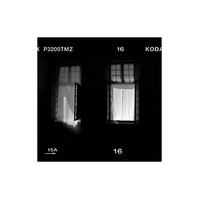 Un paysage intérieur rendu tangible par le langage