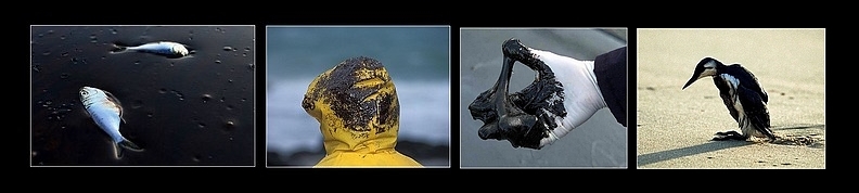 Leur impuissance et leur rébellion.