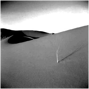 désert de vent Désert de vent