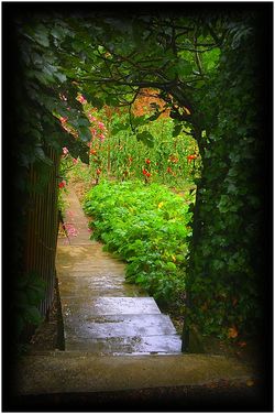 si l’eau veut elle arrose encore | le potager primeur Le potager primeur