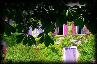 Soleil brille, | arbres vert foncé, | un léger mouvement | dans les feuilles. Un léger mouvement dans les feuilles