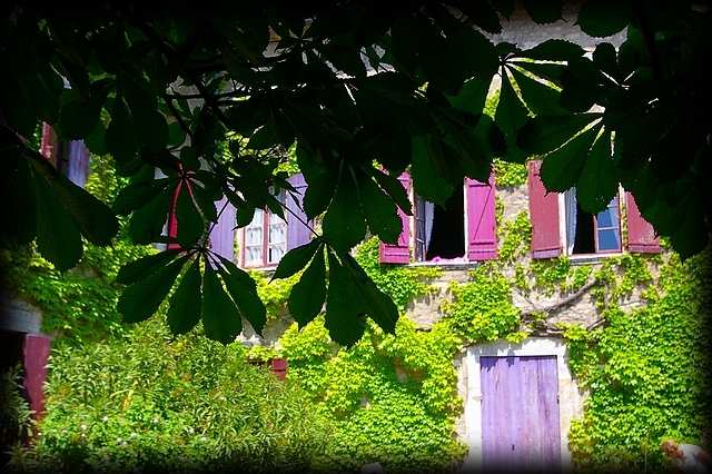 Un léger mouvement dans les feuilles