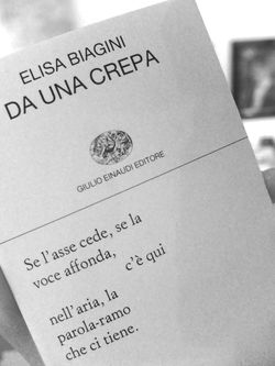 Elisa Biagini, Da una crepa, Giulio Einaudi Editore, Collezione di poesia 421, 2014. Da una crepa