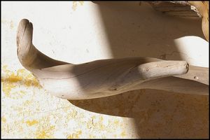 Dedans j’écoute le | bois du soutien IMGP3826