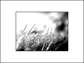 Le rayonnement de l’instant.