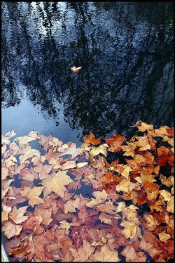 Atlantide silencieuse Bourg