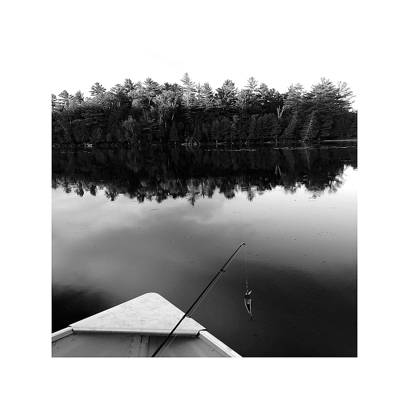 Avresti detto laggiù