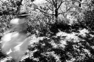 Ph. : Jean-Luc Meyssonnier Meyssonnier