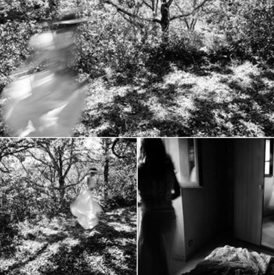 Ph. : Jean-Luc Meyssonnier Jean-Luc Meyssonnier 3