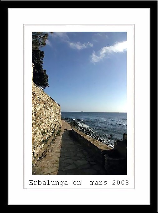 Erbalunga 2008