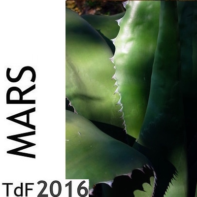 CLIQUER SUR LA PHOTO pour accéder au SOMMAIRE du numéro du mois de mars 2016 Tdf mars 2016