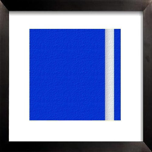 Transmigration des bleus