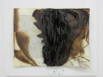 mémoire de cendres Livre brulé