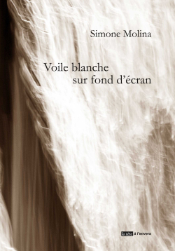 Simone Molina, Voile blanche sur fond d'écran, éditions La tête à l’envers, 2016. Simone Molina, Voile blanche sur fond d'écran