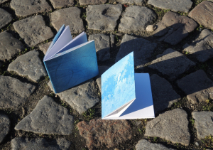 Sylvie Fabre G., L’Intouchable, pré # carré 93 / Hervé Bougel, collection poésie # carrée, décembre 2016. Fabre, L'Intouchable