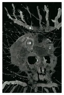 Cristine Guinamand Cristine Guinamand