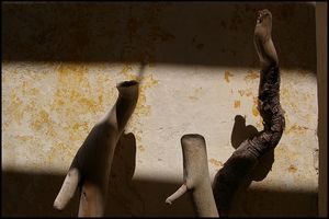 J’y cherche, nous deux : | toi nuée de mémoire, | moi qui m’échappe IMGP3827