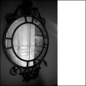 Je cueille l’énigme au miroir JE CUEILLE L’ÉNIGME AU MIROIR