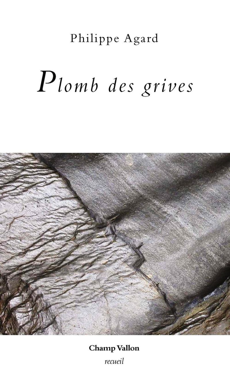 PLOMB DES GRIVES