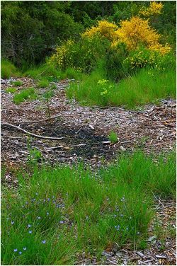 Leurs inévitables basculements
