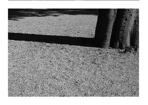 Nos mille autoportraits où rien nabstrait 2