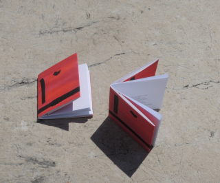 Emmanuel Merle, Nord Emmanuel Merle, Nord