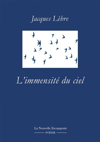 Jacques Lèbre, L'Immensité du ciel 1