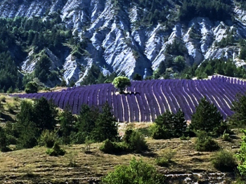 Territoire des Baronnies Baronnies
