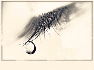 Opticien de l’amour, géomètre des larmes Opticien de l’amour, géomètre des larmes,