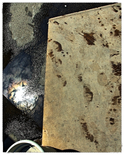 «mettre en aveugle les dernières touches au portrait invisible d’une vie» La relique se porte vivante