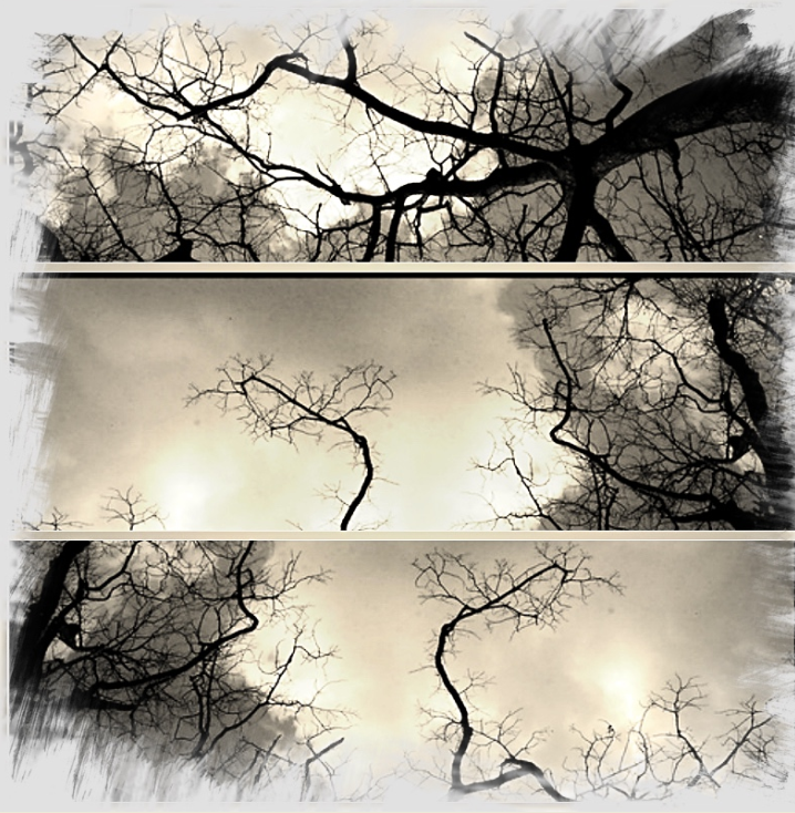 Paysages intermittents.jpg 2