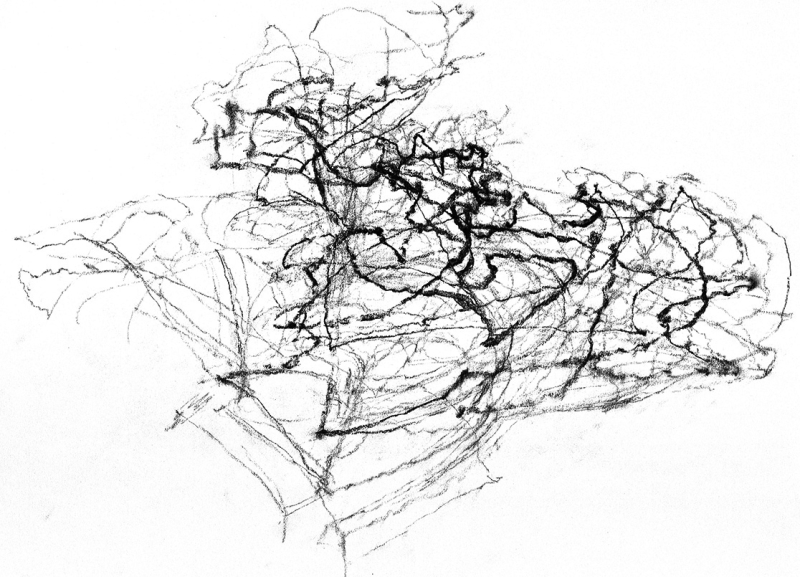 Hollan-b2_0484-copie (1)