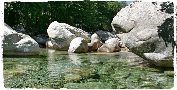 Ne plus quitter les pierres Ne plus quitter les pierres