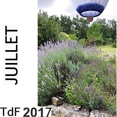 TDF juillet 2017