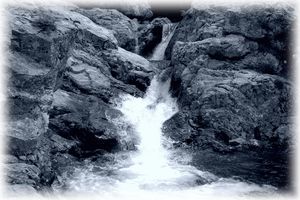 that blank incessant roar from which the mind | detaches itself only with difficulty Cet incessant rugissement vide