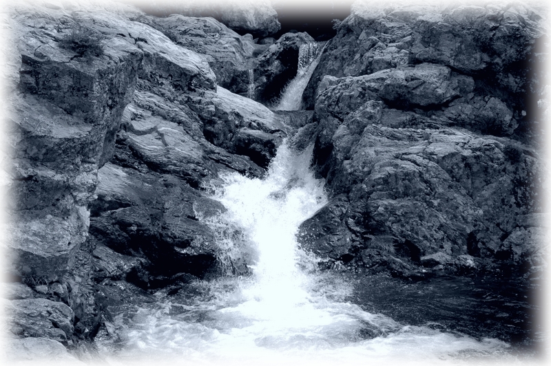 Cet incessant rugissement vide