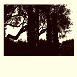 Un autre vent dans le vent