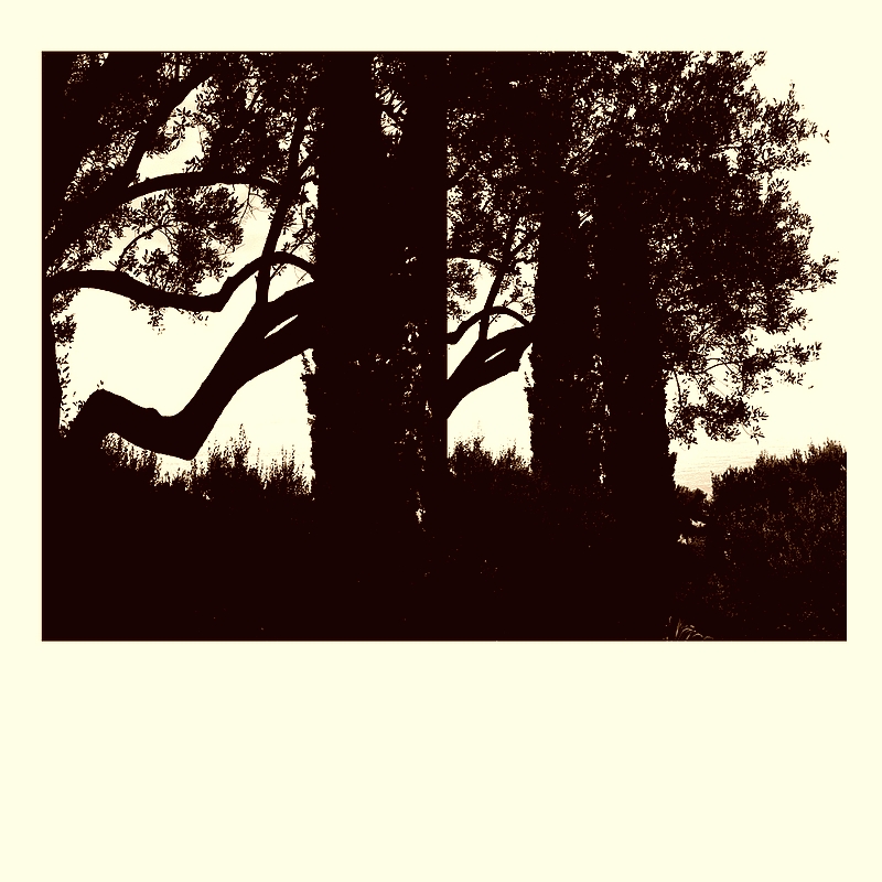 Un autre vent dans le vent